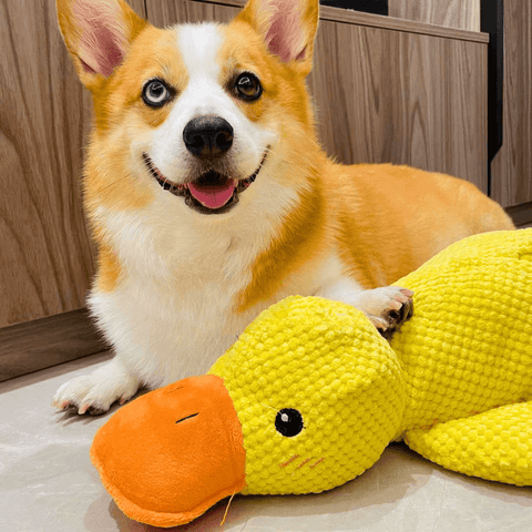 Calming Duck Toy by Wowpetsmart®-🔥 Halloween Special Buy one get one free
