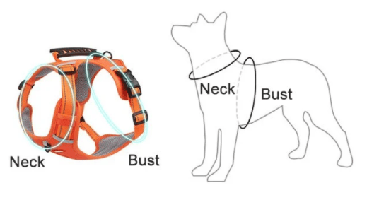 No Pull Dog Harness for Pets