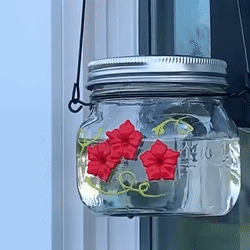 🎉 Beautiful Plastic Jar Hummingbird Feeder W/ Four Ports